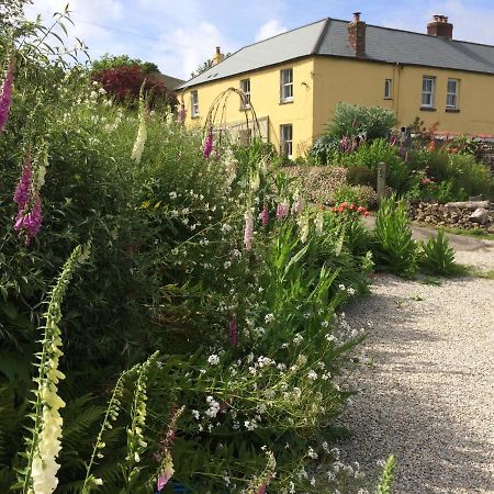 Frizenham Farmhouse Little Torrington Bagian luar foto