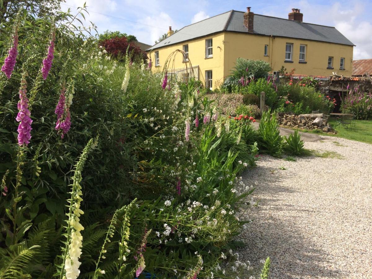 Frizenham Farmhouse Little Torrington Bagian luar foto