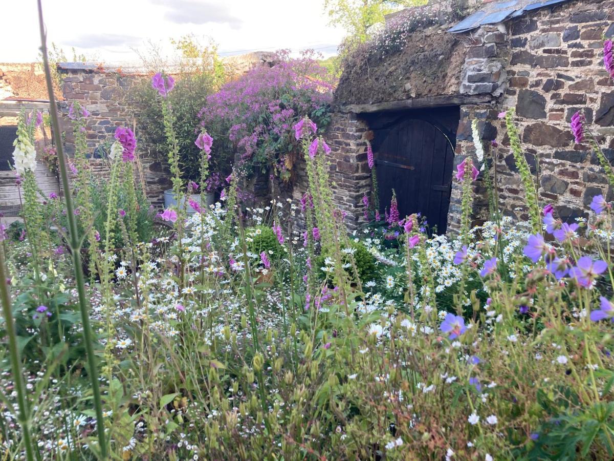 Frizenham Farmhouse Little Torrington Bagian luar foto