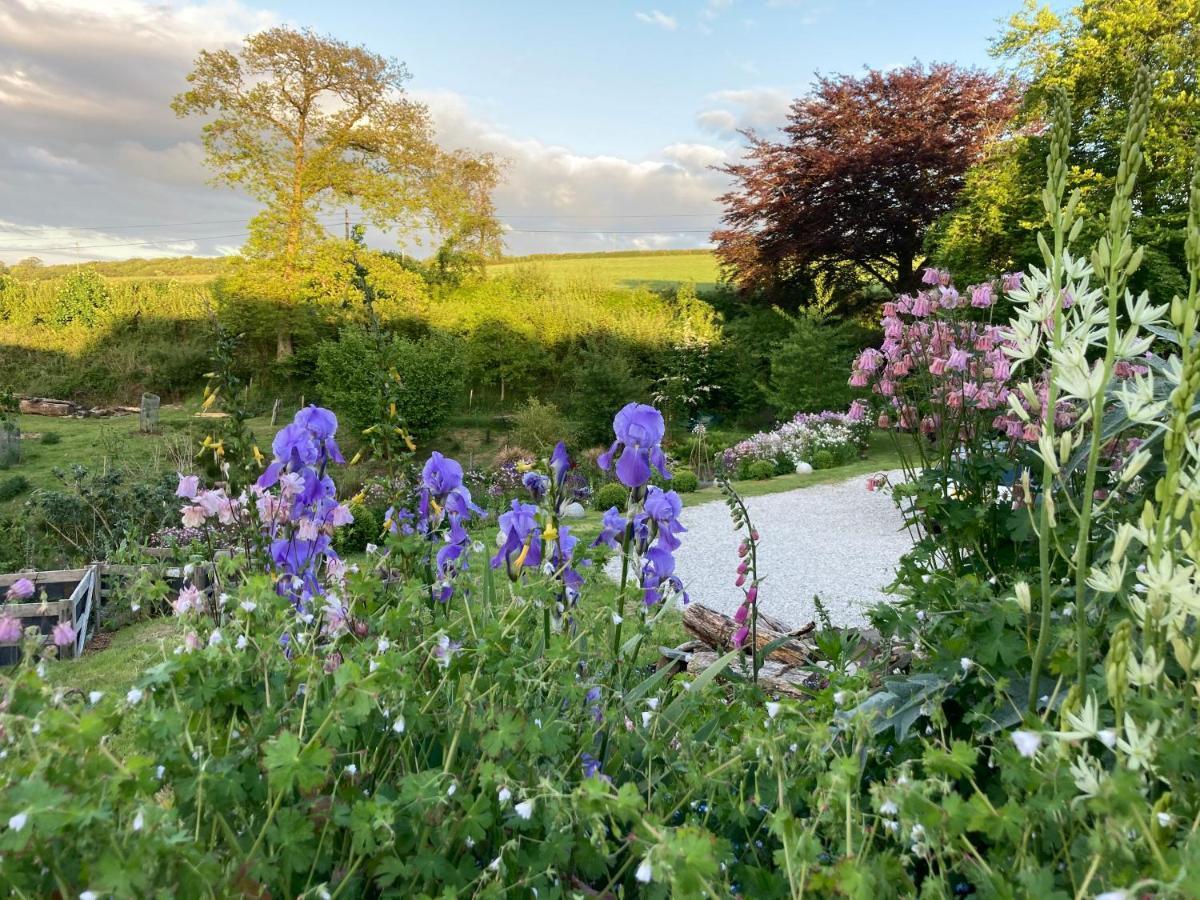 Frizenham Farmhouse Little Torrington Bagian luar foto